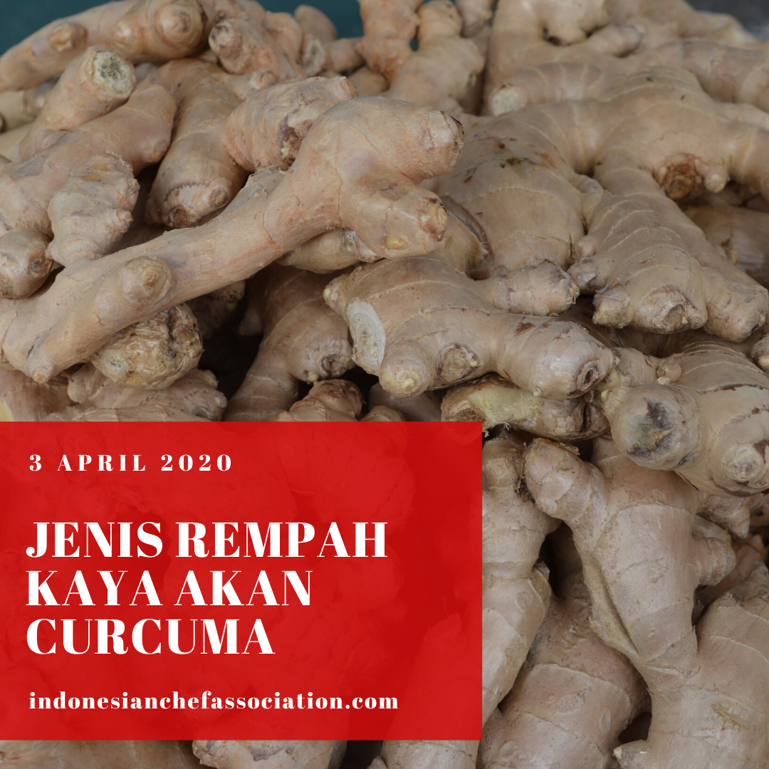 Article Jenis Rempah Kaya Akan Curcuma  Indonesian Chef 